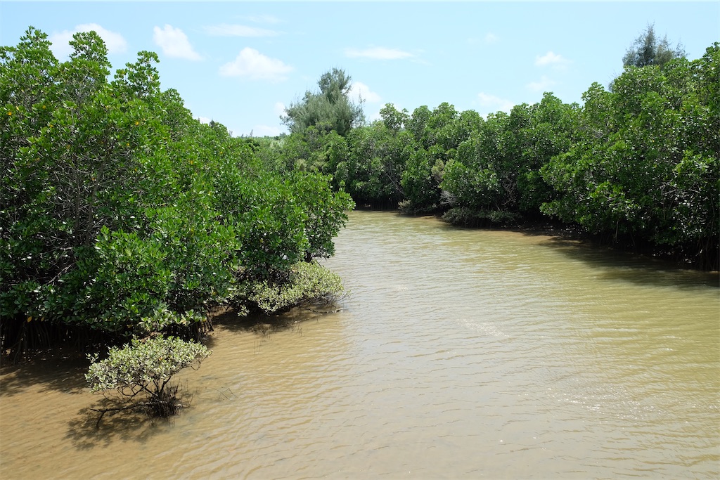 f:id:kiichangazie:20200926131922j:image f:id:kiichangazie:20200926131922j:image