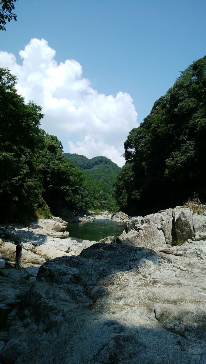 立秋です。風立ちぬ、いざ… 野良の覚書