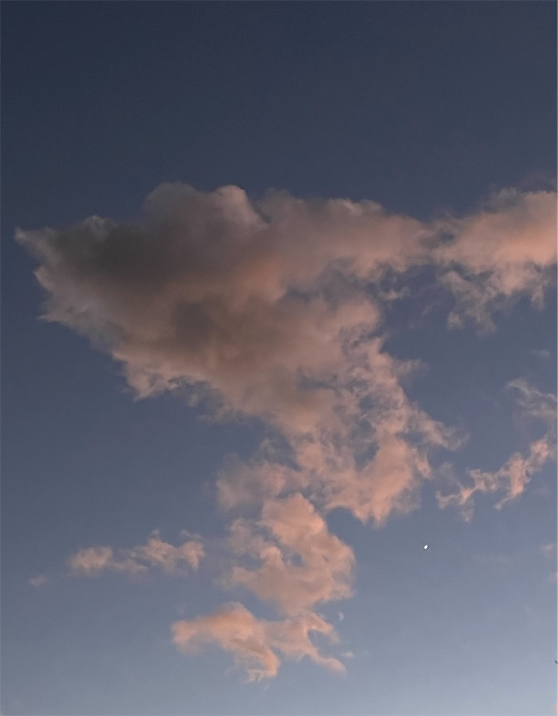 f:id:kiirotomao:20241216200625j:image
