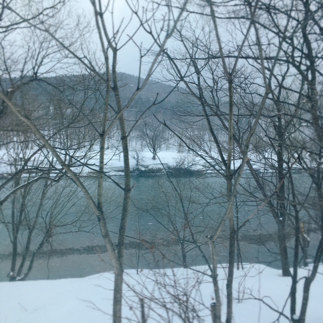 f:id:kiitos1108:20190418212439j:plain