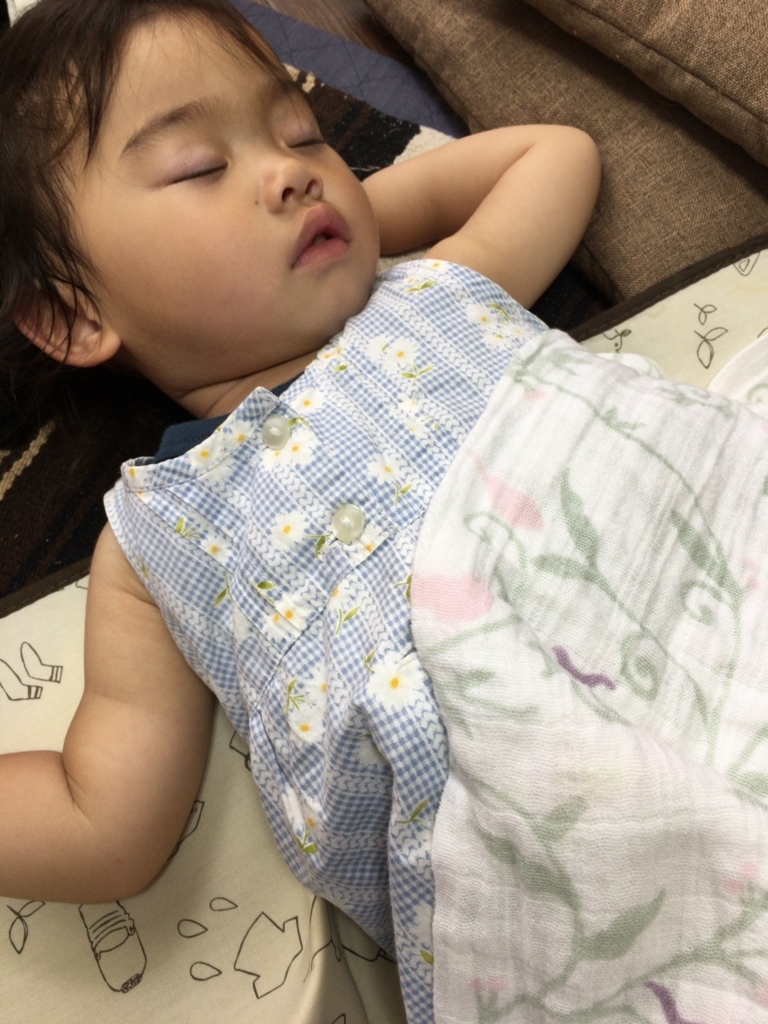 f:id:kijifu:20180612155228j:plain