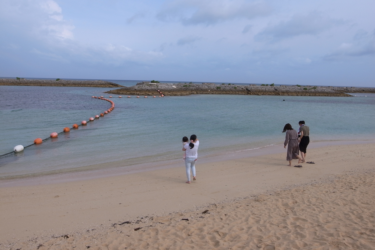 f:id:kijitora_miler:20190511143937j:plain