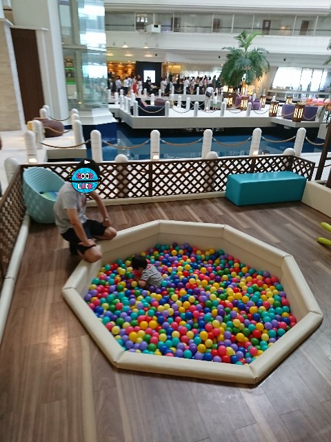 f:id:kijitora_miler:20190511220536j:plain