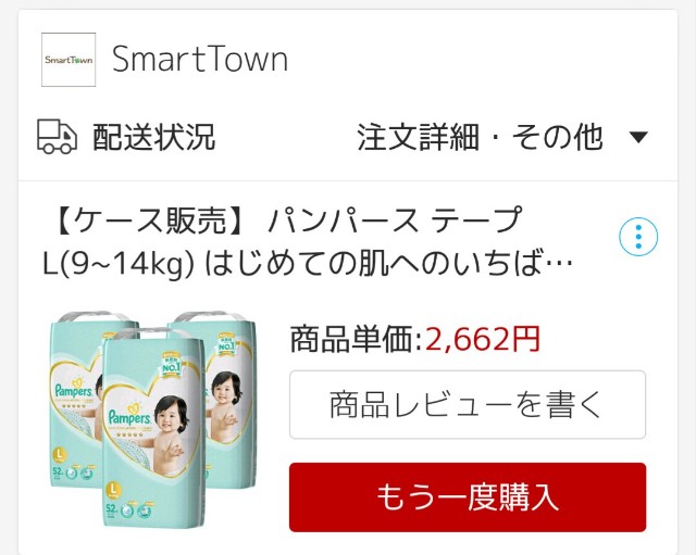 f:id:kijitora_miler:20190605212410j:plain