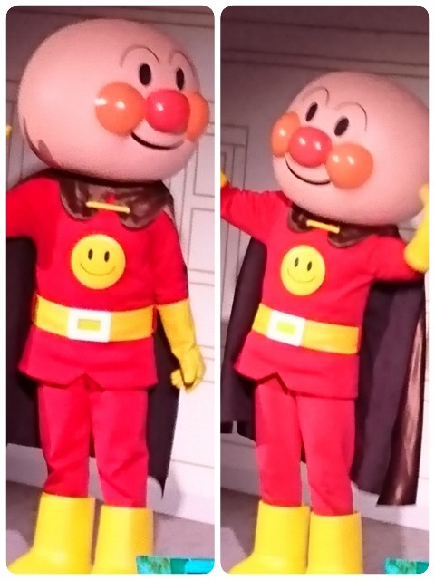 f:id:kijitora_miler:20190804003441j:plain