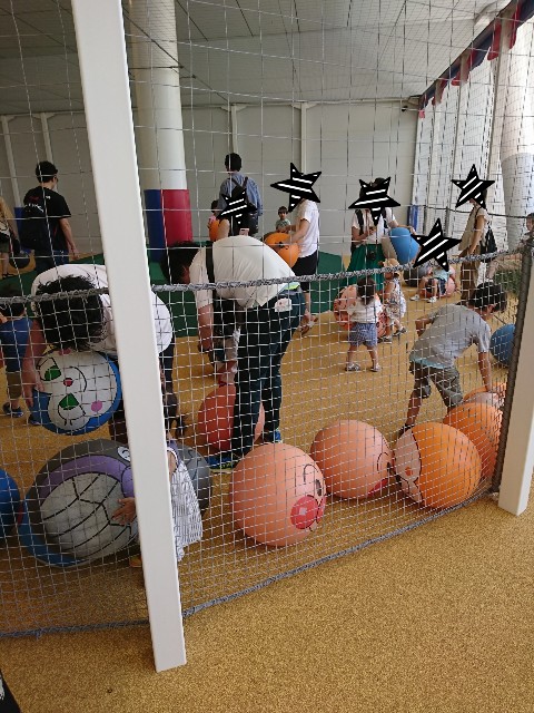 f:id:kijitora_miler:20190804004255j:plain