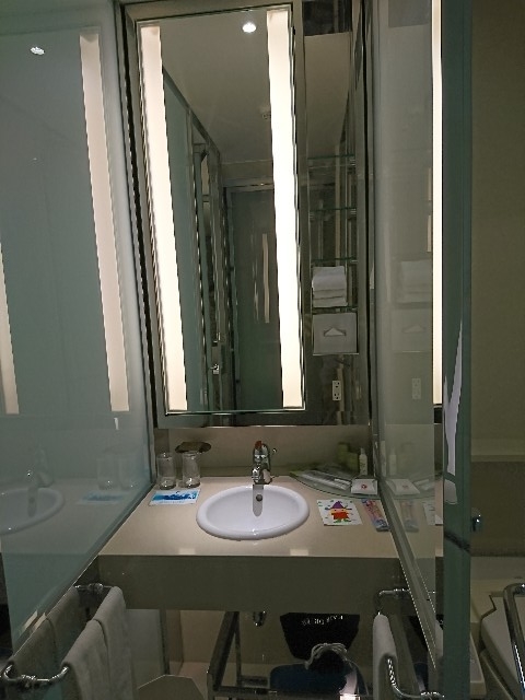 f:id:kijitora_miler:20191029232801j:plain