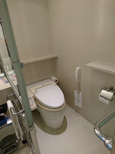 f:id:kijitora_miler:20191029232831j:plain