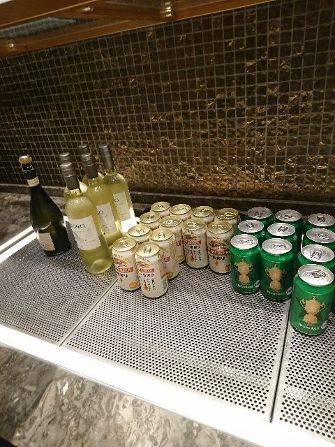 f:id:kijitora_miler:20191116234853j:plain