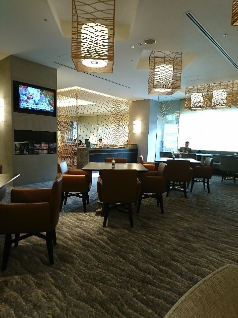 f:id:kijitora_miler:20191116234952j:plain