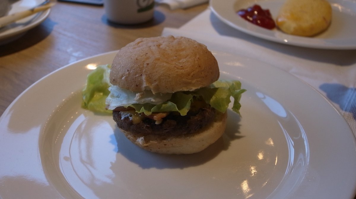 f:id:kijitora_miler:20200118215943j:plain