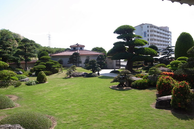 f:id:kijitora_miler:20200126225547j:plain