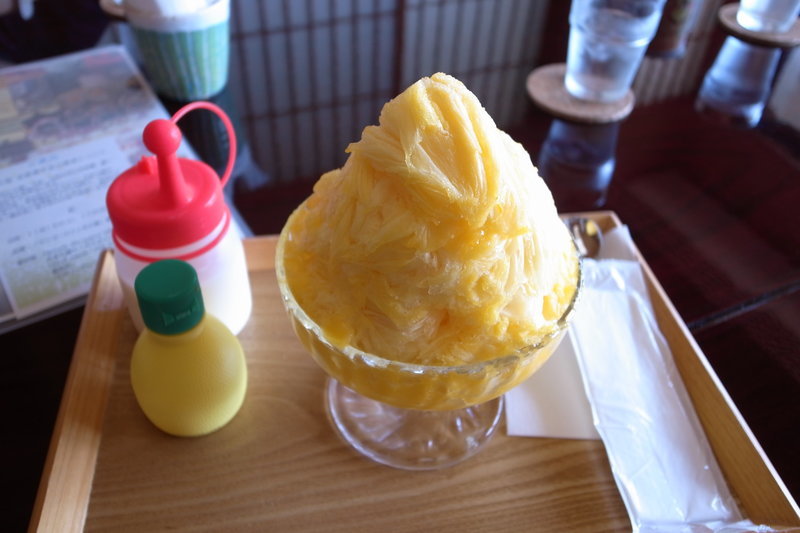 f:id:kijitora_miler:20200126225557j:plain