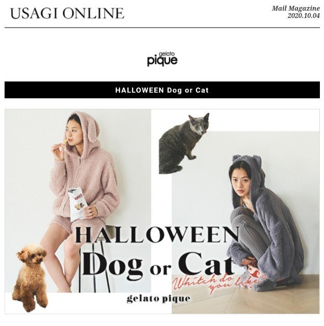 f:id:kijitora_miler:20201005122435j:plain