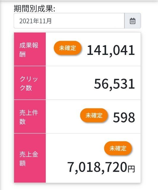 f:id:kijitora_miler:20211202115309j:plain