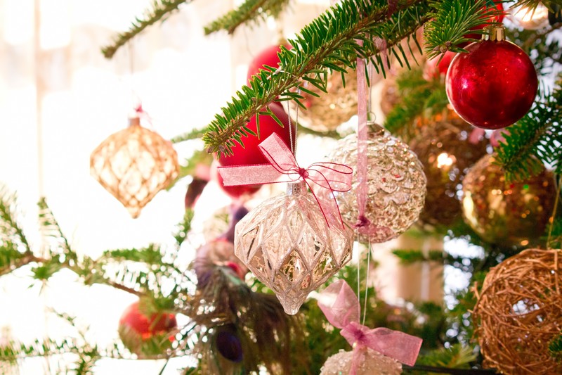 f:id:kika-s:20201123154013j:plain