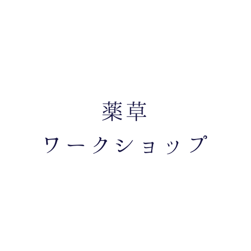 f:id:kika-treeflower:20210316225513p:plain