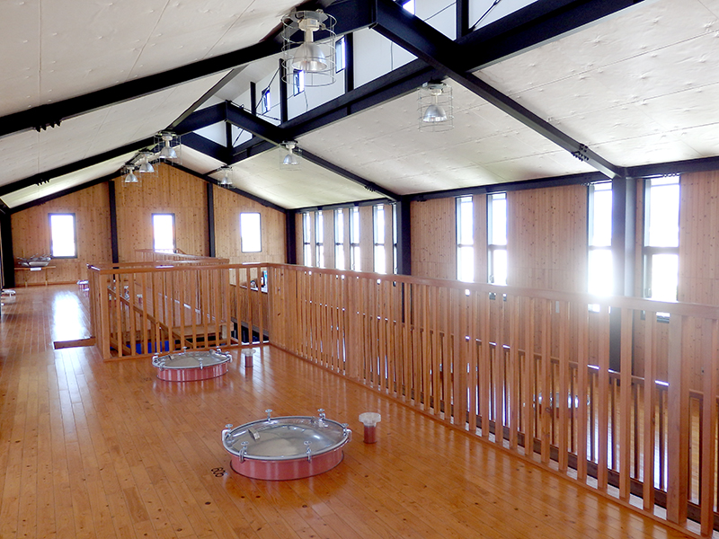 f:id:kikaijima_aojiru:20161122184100j:plain f:id:kikaijima_aojiru:20161122184100j:plain