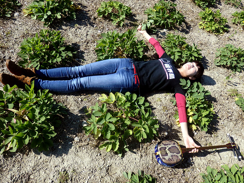 f:id:kikaijima_aojiru:20170131182106j:plain 長命草(ボタンボウフウ)と川畑さおりさん