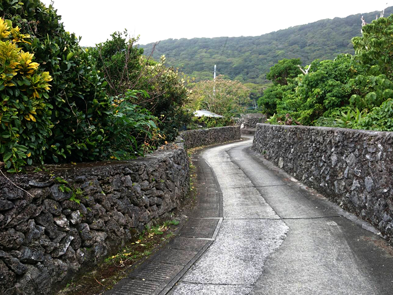 喜界島　国立公園　自然遺産登録へ1歩前進