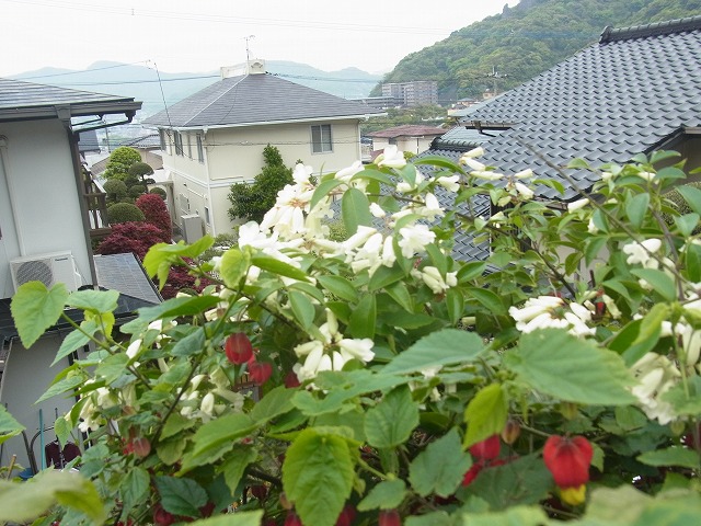 f:id:kikaiya-5:20140416202420j:image:w640 f:id:kikaiya-5:20140416202420j:image:w640