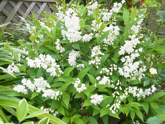 f:id:kikaiya-5:20140416202421j:image:w640 f:id:kikaiya-5:20140416202421j:image:w640