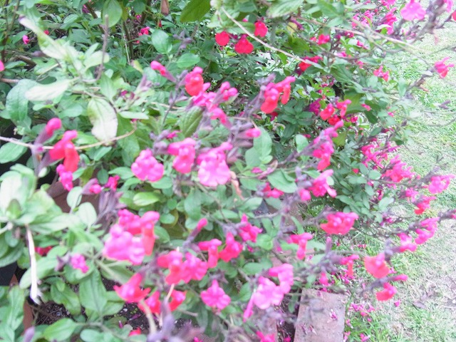 f:id:kikaiya-5:20140416202422j:image:w640 f:id:kikaiya-5:20140416202422j:image:w640