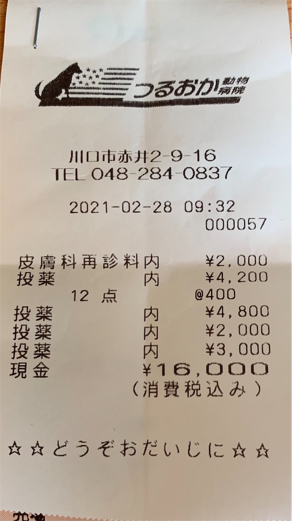 f:id:kikanbou88:20210228105201j:image