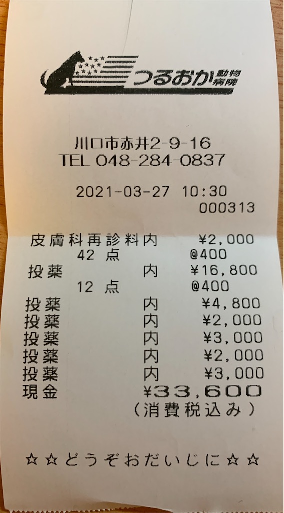f:id:kikanbou88:20210328075608j:image