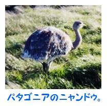 f:id:kiki_kuro:20100326125407j:image
