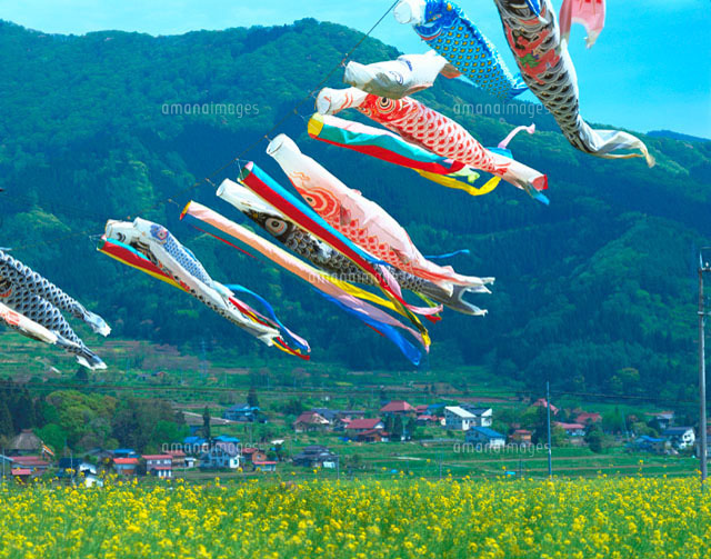 f:id:kiki_mofumofu:20201216092052j:plain