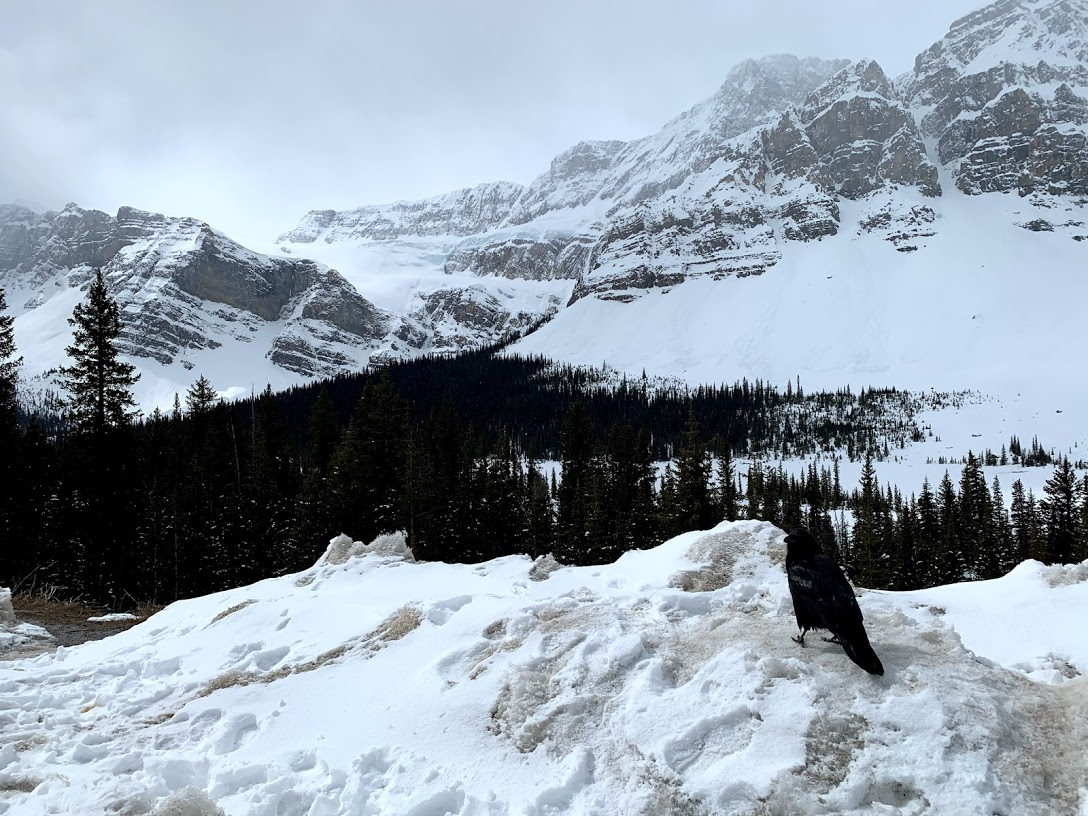 f:id:kikidiary:20190507154451p:plain f:id:kikidiary:20190507154451p:plain