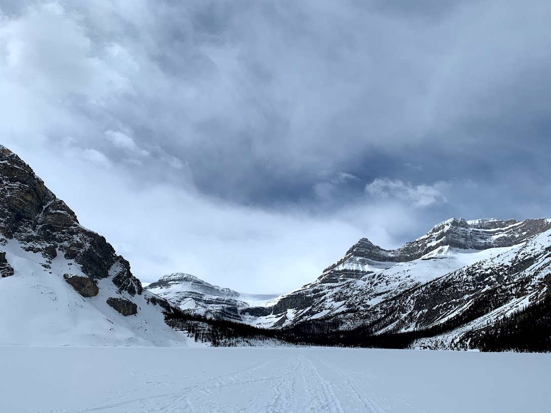 f:id:kikidiary:20190507154625p:plain f:id:kikidiary:20190507154625p:plain