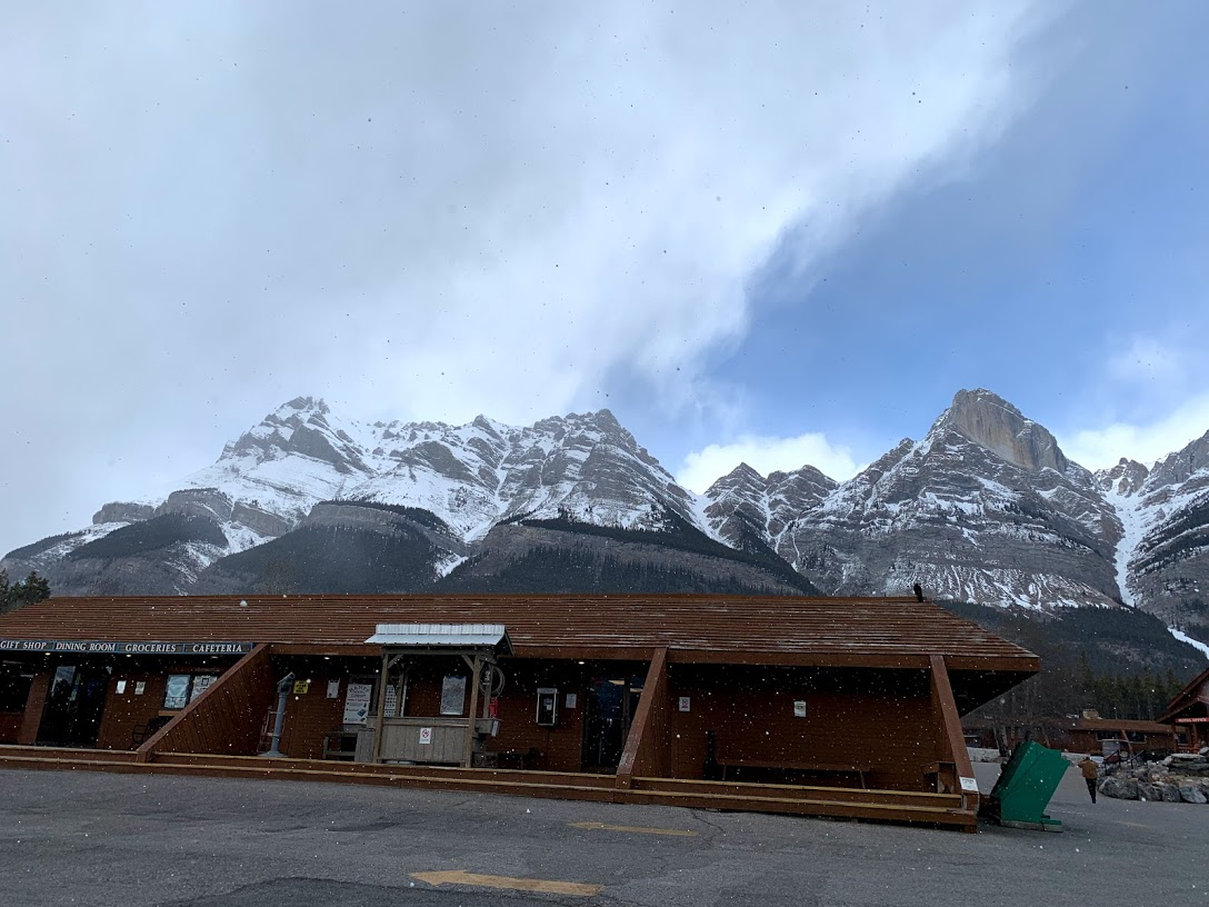 f:id:kikidiary:20190507160037p:plain f:id:kikidiary:20190507160037p:plain