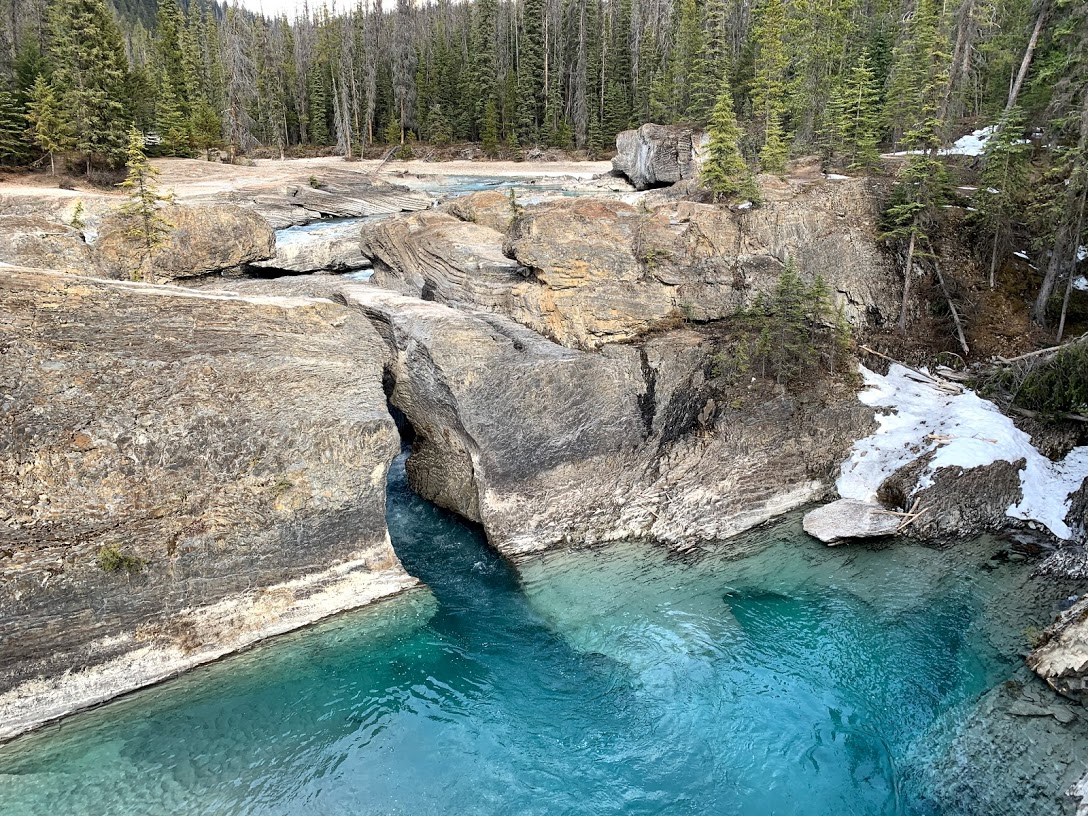 f:id:kikidiary:20190507160301p:plain f:id:kikidiary:20190507160301p:plain