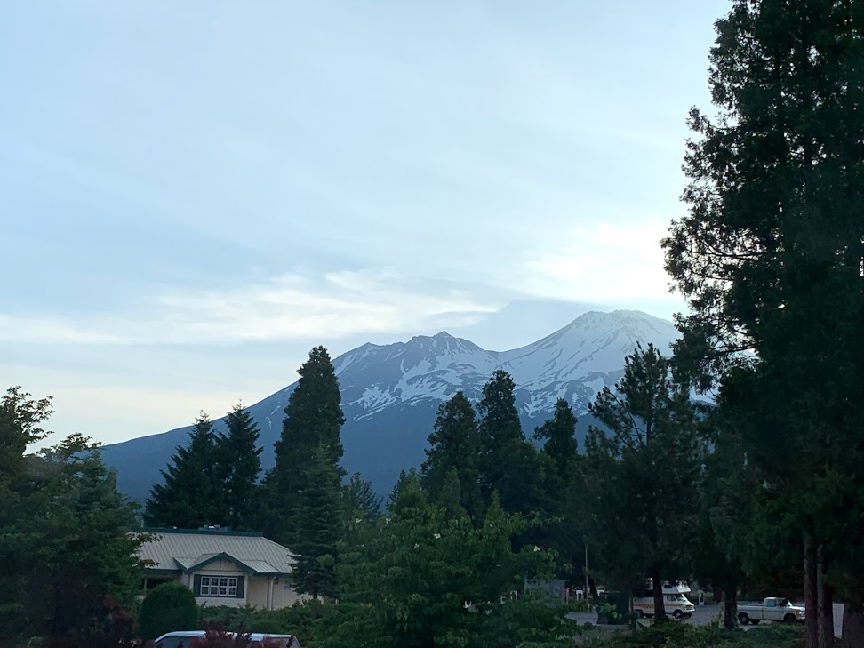 f:id:kikidiary:20190709155953p:plain