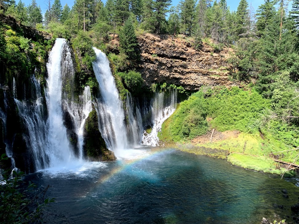 f:id:kikidiary:20190709160119p:plain