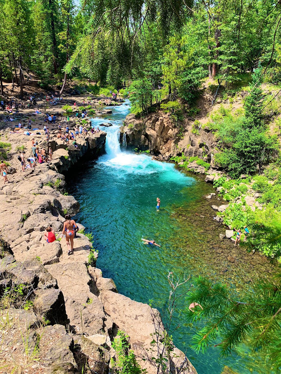 f:id:kikidiary:20190709160828p:plain