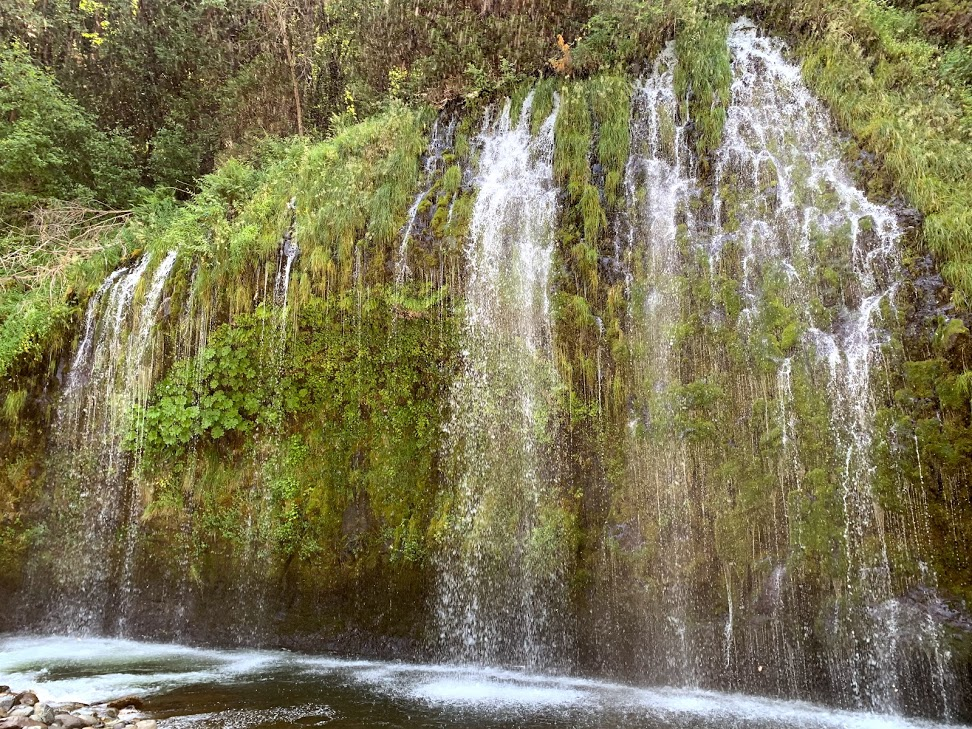 f:id:kikidiary:20190709161938p:plain