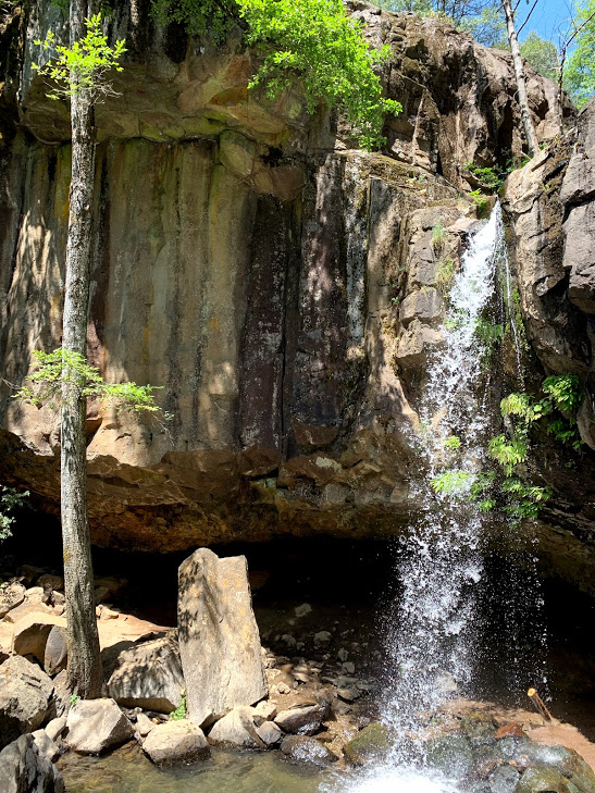 f:id:kikidiary:20190709162307p:plain