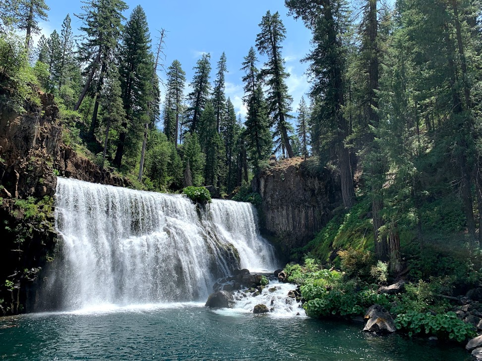 f:id:kikidiary:20190710155325p:plain