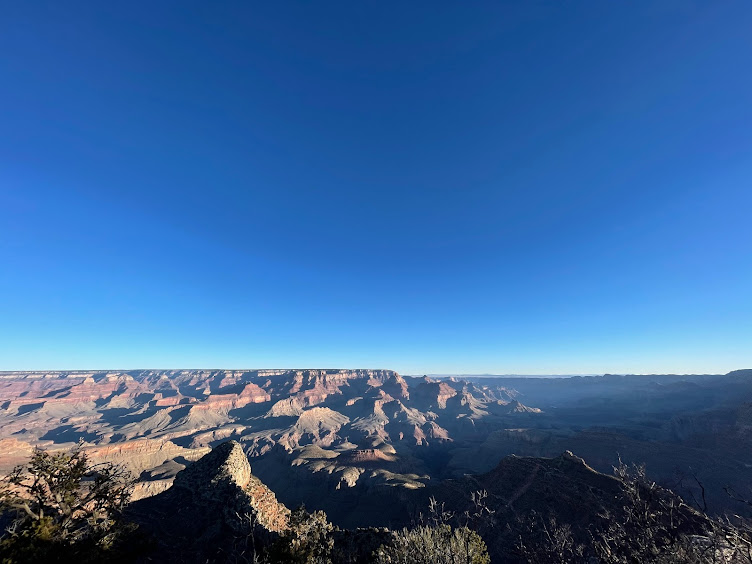 f:id:kikidiary:20211221071900p:plain