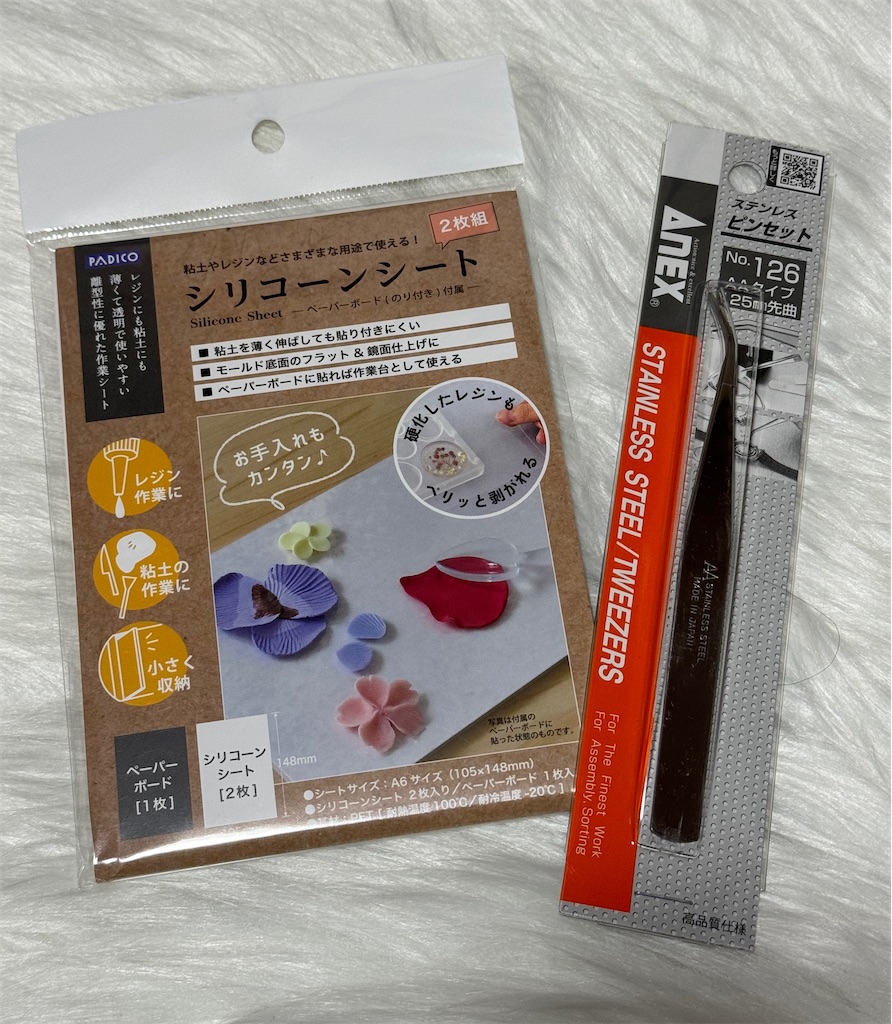 f:id:kikihonobono:20240315205657j:image