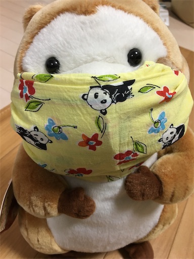 f:id:kikikimuko:20200404232114j:plain f:id:kikikimuko:20200404232114j:plain