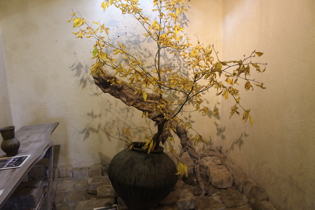 f:id:kikki-blog-ch2:20210714140204j:plain
