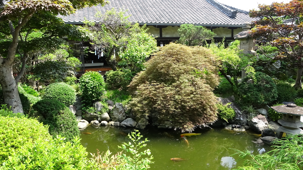 f:id:kikki-blog-ch2:20210718104531j:plain