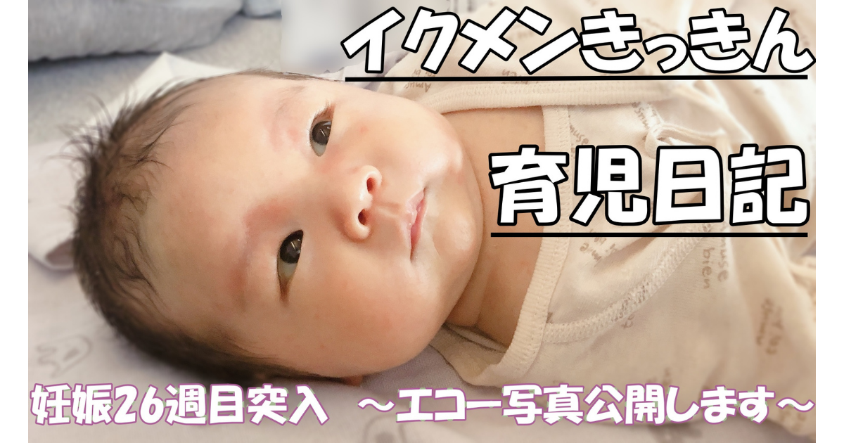 f:id:kikkin1989:20210722114859p:plain