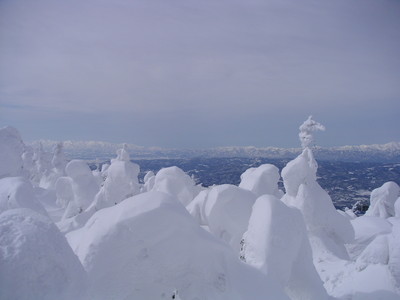 蔵王の樹氷