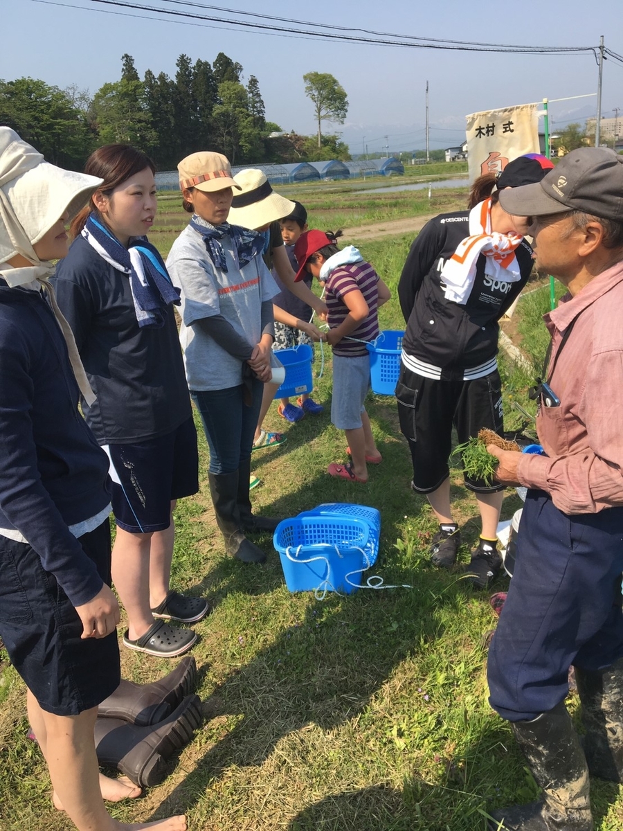 f:id:kikori-farm:20190526141345j:plain f:id:kikori-farm:20190526141345j:plain
