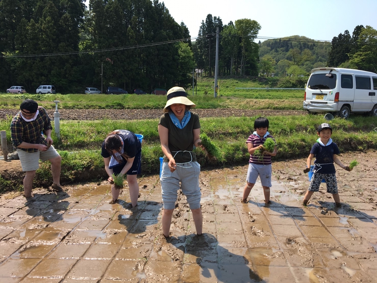 f:id:kikori-farm:20190526142542j:plain f:id:kikori-farm:20190526142542j:plain
